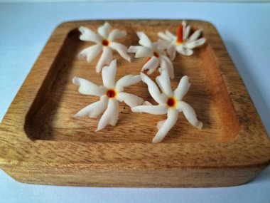 Tahta üzerinde taze parijat çiçekleri. Çeşitli kullanımları var, hem tıbbi hem de kültürel. Ayurvedic tıpta ateş, öksürük ve soğuk algınlığını tedavi etmek için kullanılır. Çiçekler Hindu ayinlerinde ve tanrılara adak olarak da kullanılır.