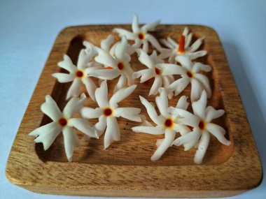 Tahta üzerinde taze parijat çiçekleri. Çeşitli kullanımları var, hem tıbbi hem de kültürel. Ayurvedic tıpta ateş, öksürük ve soğuk algınlığını tedavi etmek için kullanılır. Çiçekler Hindu ayinlerinde ve tanrılara adak olarak da kullanılır.