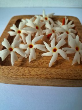 Tahta üzerinde taze parijat çiçekleri. Çeşitli kullanımları var, hem tıbbi hem de kültürel. Ayurvedic tıpta ateş, öksürük ve soğuk algınlığını tedavi etmek için kullanılır. Çiçekler Hindu ayinlerinde ve tanrılara adak olarak da kullanılır.