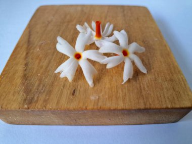 Tahta üzerinde taze parijat çiçekleri. Çeşitli kullanımları var, hem tıbbi hem de kültürel. Ayurvedic tıpta ateş, öksürük ve soğuk algınlığını tedavi etmek için kullanılır. Çiçekler Hindu ayinlerinde ve tanrılara adak olarak da kullanılır.