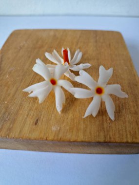 Tahta üzerinde taze parijat çiçekleri. Çeşitli kullanımları var, hem tıbbi hem de kültürel. Ayurvedic tıpta ateş, öksürük ve soğuk algınlığını tedavi etmek için kullanılır. Çiçekler Hindu ayinlerinde ve tanrılara adak olarak da kullanılır.