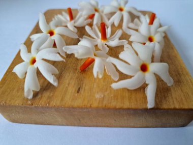 Tahta üzerinde taze parijat çiçekleri. Çeşitli kullanımları var, hem tıbbi hem de kültürel. Ayurvedic tıpta ateş, öksürük ve soğuk algınlığını tedavi etmek için kullanılır. Çiçekler Hindu ayinlerinde ve tanrılara adak olarak da kullanılır.