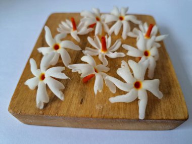 Tahta üzerinde taze parijat çiçekleri. Çeşitli kullanımları var, hem tıbbi hem de kültürel. Ayurvedic tıpta ateş, öksürük ve soğuk algınlığını tedavi etmek için kullanılır. Çiçekler Hindu ayinlerinde ve tanrılara adak olarak da kullanılır.