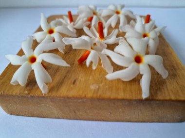 Tahta üzerinde taze parijat çiçekleri. Çeşitli kullanımları var, hem tıbbi hem de kültürel. Ayurvedic tıpta ateş, öksürük ve soğuk algınlığını tedavi etmek için kullanılır. Çiçekler Hindu ayinlerinde ve tanrılara adak olarak da kullanılır.