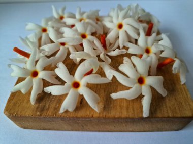 Tahta üzerinde taze parijat çiçekleri. Çeşitli kullanımları var, hem tıbbi hem de kültürel. Ayurvedic tıpta ateş, öksürük ve soğuk algınlığını tedavi etmek için kullanılır. Çiçekler Hindu ayinlerinde ve tanrılara adak olarak da kullanılır.