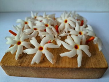 Tahta üzerinde taze parijat çiçekleri. Çeşitli kullanımları var, hem tıbbi hem de kültürel. Ayurvedic tıpta ateş, öksürük ve soğuk algınlığını tedavi etmek için kullanılır. Çiçekler Hindu ayinlerinde ve tanrılara adak olarak da kullanılır.