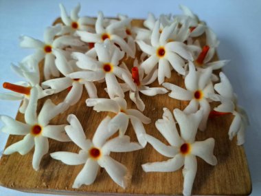 Tahta üzerinde taze parijat çiçekleri. Çeşitli kullanımları var, hem tıbbi hem de kültürel. Ayurvedic tıpta ateş, öksürük ve soğuk algınlığını tedavi etmek için kullanılır. Çiçekler Hindu ayinlerinde ve tanrılara adak olarak da kullanılır.