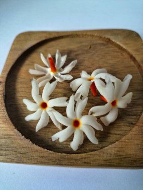 Tahta üzerinde taze parijat çiçekleri. Çeşitli kullanımları var, hem tıbbi hem de kültürel. Ayurvedic tıpta ateş, öksürük ve soğuk algınlığını tedavi etmek için kullanılır. Çiçekler Hindu ayinlerinde ve tanrılara adak olarak da kullanılır.