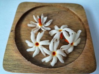 Tahta üzerinde taze parijat çiçekleri. Çeşitli kullanımları var, hem tıbbi hem de kültürel. Ayurvedic tıpta ateş, öksürük ve soğuk algınlığını tedavi etmek için kullanılır. Çiçekler Hindu ayinlerinde ve tanrılara adak olarak da kullanılır.