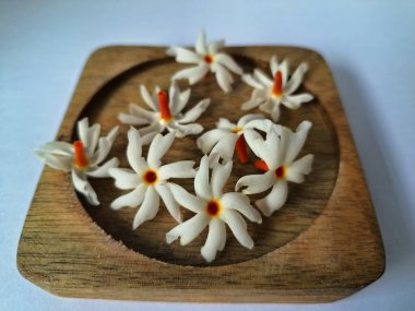 Tahta üzerinde taze parijat çiçekleri. Çeşitli kullanımları var, hem tıbbi hem de kültürel. Ayurvedic tıpta ateş, öksürük ve soğuk algınlığını tedavi etmek için kullanılır. Çiçekler Hindu ayinlerinde ve tanrılara adak olarak da kullanılır.