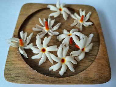 Tahta üzerinde taze parijat çiçekleri. Çeşitli kullanımları var, hem tıbbi hem de kültürel. Ayurvedic tıpta ateş, öksürük ve soğuk algınlığını tedavi etmek için kullanılır. Çiçekler Hindu ayinlerinde ve tanrılara adak olarak da kullanılır.