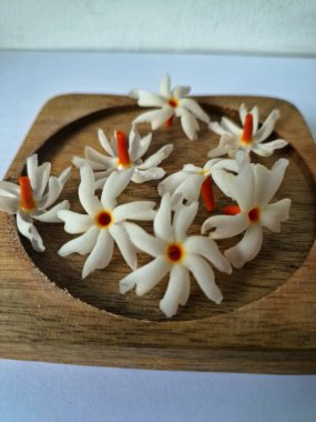 Tahta üzerinde taze parijat çiçekleri. Çeşitli kullanımları var, hem tıbbi hem de kültürel. Ayurvedic tıpta ateş, öksürük ve soğuk algınlığını tedavi etmek için kullanılır. Çiçekler Hindu ayinlerinde ve tanrılara adak olarak da kullanılır.