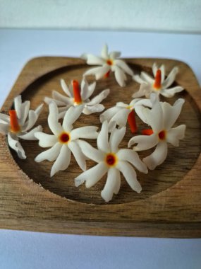 Tahta üzerinde taze parijat çiçekleri. Çeşitli kullanımları var, hem tıbbi hem de kültürel. Ayurvedic tıpta ateş, öksürük ve soğuk algınlığını tedavi etmek için kullanılır. Çiçekler Hindu ayinlerinde ve tanrılara adak olarak da kullanılır.