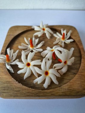 Tahta üzerinde taze parijat çiçekleri. Çeşitli kullanımları var, hem tıbbi hem de kültürel. Ayurvedic tıpta ateş, öksürük ve soğuk algınlığını tedavi etmek için kullanılır. Çiçekler Hindu ayinlerinde ve tanrılara adak olarak da kullanılır.