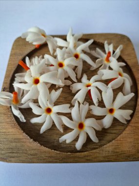 Tahta üzerinde taze parijat çiçekleri. Çeşitli kullanımları var, hem tıbbi hem de kültürel. Ayurvedic tıpta ateş, öksürük ve soğuk algınlığını tedavi etmek için kullanılır. Çiçekler Hindu ayinlerinde ve tanrılara adak olarak da kullanılır.