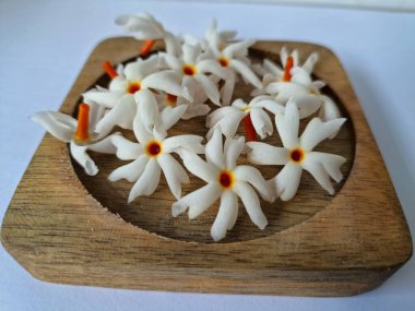 Tahta üzerinde taze parijat çiçekleri. Çeşitli kullanımları var, hem tıbbi hem de kültürel. Ayurvedic tıpta ateş, öksürük ve soğuk algınlığını tedavi etmek için kullanılır. Çiçekler Hindu ayinlerinde ve tanrılara adak olarak da kullanılır.