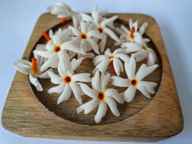 Tahta üzerinde taze parijat çiçekleri. Çeşitli kullanımları var, hem tıbbi hem de kültürel. Ayurvedic tıpta ateş, öksürük ve soğuk algınlığını tedavi etmek için kullanılır. Çiçekler Hindu ayinlerinde ve tanrılara adak olarak da kullanılır.