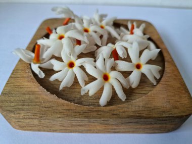 Tahta üzerinde taze parijat çiçekleri. Çeşitli kullanımları var, hem tıbbi hem de kültürel. Ayurvedic tıpta ateş, öksürük ve soğuk algınlığını tedavi etmek için kullanılır. Çiçekler Hindu ayinlerinde ve tanrılara adak olarak da kullanılır.