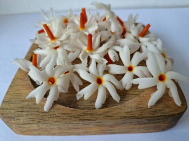 Tahta üzerinde taze parijat çiçekleri. Çeşitli kullanımları var, hem tıbbi hem de kültürel. Ayurvedic tıpta ateş, öksürük ve soğuk algınlığını tedavi etmek için kullanılır. Çiçekler Hindu ayinlerinde ve tanrılara adak olarak da kullanılır.