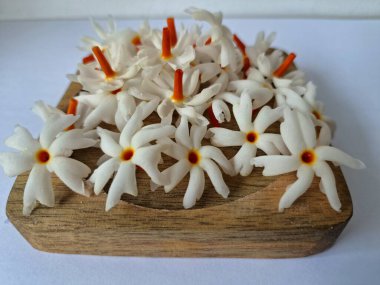 Tahta üzerinde taze parijat çiçekleri. Çeşitli kullanımları var, hem tıbbi hem de kültürel. Ayurvedic tıpta ateş, öksürük ve soğuk algınlığını tedavi etmek için kullanılır. Çiçekler Hindu ayinlerinde ve tanrılara adak olarak da kullanılır.