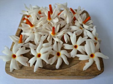 Tahta üzerinde taze parijat çiçekleri. Çeşitli kullanımları var, hem tıbbi hem de kültürel. Ayurvedic tıpta ateş, öksürük ve soğuk algınlığını tedavi etmek için kullanılır. Çiçekler Hindu ayinlerinde ve tanrılara adak olarak da kullanılır.