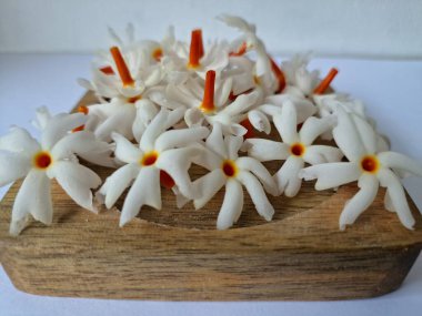 Tahta üzerinde taze parijat çiçekleri. Çeşitli kullanımları var, hem tıbbi hem de kültürel. Ayurvedic tıpta ateş, öksürük ve soğuk algınlığını tedavi etmek için kullanılır. Çiçekler Hindu ayinlerinde ve tanrılara adak olarak da kullanılır.