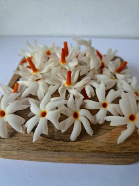 Tahta üzerinde taze parijat çiçekleri. Çeşitli kullanımları var, hem tıbbi hem de kültürel. Ayurvedic tıpta ateş, öksürük ve soğuk algınlığını tedavi etmek için kullanılır. Çiçekler Hindu ayinlerinde ve tanrılara adak olarak da kullanılır.