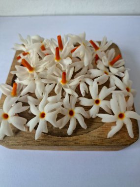 Tahta üzerinde taze parijat çiçekleri. Çeşitli kullanımları var, hem tıbbi hem de kültürel. Ayurvedic tıpta ateş, öksürük ve soğuk algınlığını tedavi etmek için kullanılır. Çiçekler Hindu ayinlerinde ve tanrılara adak olarak da kullanılır.