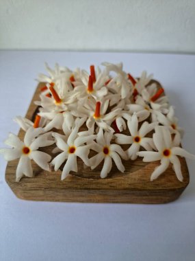 Tahta üzerinde taze parijat çiçekleri. Çeşitli kullanımları var, hem tıbbi hem de kültürel. Ayurvedic tıpta ateş, öksürük ve soğuk algınlığını tedavi etmek için kullanılır. Çiçekler Hindu ayinlerinde ve tanrılara adak olarak da kullanılır.