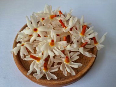 Tahta üzerinde taze parijat çiçekleri. Çeşitli kullanımları var, hem tıbbi hem de kültürel. Ayurvedic tıpta ateş, öksürük ve soğuk algınlığını tedavi etmek için kullanılır. Çiçekler Hindu ayinlerinde ve tanrılara adak olarak da kullanılır.