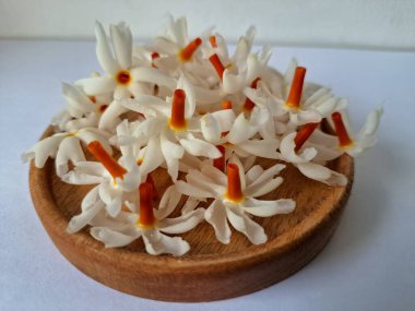 Tahta üzerinde taze parijat çiçekleri. Çeşitli kullanımları var, hem tıbbi hem de kültürel. Ayurvedic tıpta ateş, öksürük ve soğuk algınlığını tedavi etmek için kullanılır. Çiçekler Hindu ayinlerinde ve tanrılara adak olarak da kullanılır.