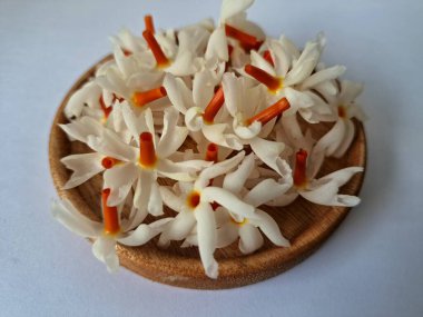 Tahta üzerinde taze parijat çiçekleri. Çeşitli kullanımları var, hem tıbbi hem de kültürel. Ayurvedic tıpta ateş, öksürük ve soğuk algınlığını tedavi etmek için kullanılır. Çiçekler Hindu ayinlerinde ve tanrılara adak olarak da kullanılır.