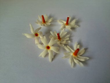 Parijat çiçeği. Çeşitli kullanımları var, hem tıbbi hem de kültürel. Ayurvedic tıpta ateş, öksürük ve soğuk algınlığını tedavi etmek için kullanılır. Çiçekler Hindu ayinlerinde ve tanrılara adak olarak da kullanılır.