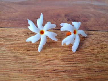 Parijat çiçeği. Çeşitli kullanımları var, hem tıbbi hem de kültürel. Ayurvedic tıpta ateş, öksürük ve soğuk algınlığını tedavi etmek için kullanılır. Çiçekler Hindu ayinlerinde ve tanrılara adak olarak da kullanılır.