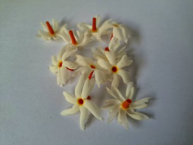 Parijat çiçeği. Çeşitli kullanımları var, hem tıbbi hem de kültürel. Ayurvedic tıpta ateş, öksürük ve soğuk algınlığını tedavi etmek için kullanılır. Çiçekler Hindu ayinlerinde ve tanrılara adak olarak da kullanılır.