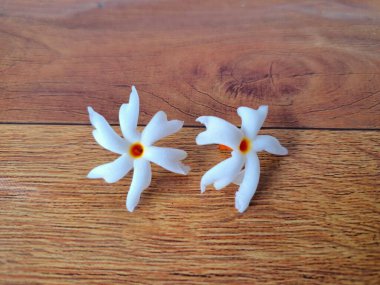 Taze parijat çiçekleri masada. Parijat çiçeğinin çeşitli kullanımları vardır, hem tıbbi hem de kültürel. Ayurvedic tıpta ateş, öksürük ve soğuk algınlığını tedavi etmek için kullanılır. Çiçekler Hindu ayinlerinde ve tanrılara adak olarak da kullanılır.