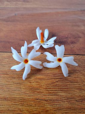 Taze parijat çiçekleri masada. Parijat çiçeğinin çeşitli kullanımları vardır, hem tıbbi hem de kültürel. Ayurvedic tıpta ateş, öksürük ve soğuk algınlığını tedavi etmek için kullanılır. Çiçekler Hindu ayinlerinde ve tanrılara adak olarak da kullanılır.