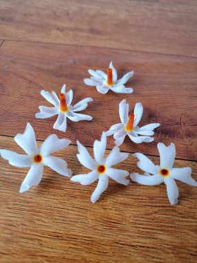 Taze parijat çiçekleri masada. Parijat çiçeğinin çeşitli kullanımları vardır, hem tıbbi hem de kültürel. Ayurvedic tıpta ateş, öksürük ve soğuk algınlığını tedavi etmek için kullanılır. Çiçekler Hindu ayinlerinde ve tanrılara adak olarak da kullanılır.