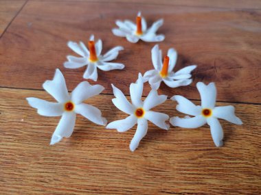 Taze parijat çiçekleri masada. Parijat çiçeğinin çeşitli kullanımları vardır, hem tıbbi hem de kültürel. Ayurvedic tıpta ateş, öksürük ve soğuk algınlığını tedavi etmek için kullanılır. Çiçekler Hindu ayinlerinde ve tanrılara adak olarak da kullanılır.