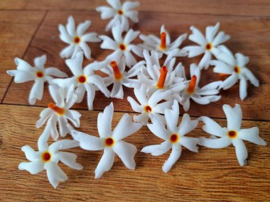 Taze parijat çiçekleri masada. Parijat çiçeğinin çeşitli kullanımları vardır, hem tıbbi hem de kültürel. Ayurvedic tıpta ateş, öksürük ve soğuk algınlığını tedavi etmek için kullanılır. Çiçekler Hindu ayinlerinde ve tanrılara adak olarak da kullanılır.