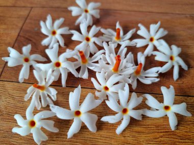 Taze parijat çiçekleri masada. Parijat çiçeğinin çeşitli kullanımları vardır, hem tıbbi hem de kültürel. Ayurvedic tıpta ateş, öksürük ve soğuk algınlığını tedavi etmek için kullanılır. Çiçekler Hindu ayinlerinde ve tanrılara adak olarak da kullanılır.