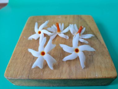 Servis tahtasındaki taze parijat çiçekleri. Çeşitli kullanımları var, hem tıbbi hem de kültürel. Ayurvedic tıpta ateş, öksürük ve soğuk algınlığını tedavi etmek için kullanılır. Çiçekler Hindu ayinlerinde ve tanrılara adak olarak da kullanılır.