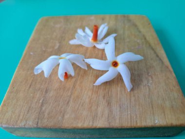 Servis tahtasındaki taze parijat çiçekleri. Çeşitli kullanımları var, hem tıbbi hem de kültürel. Ayurvedic tıpta ateş, öksürük ve soğuk algınlığını tedavi etmek için kullanılır. Çiçekler Hindu ayinlerinde ve tanrılara adak olarak da kullanılır.