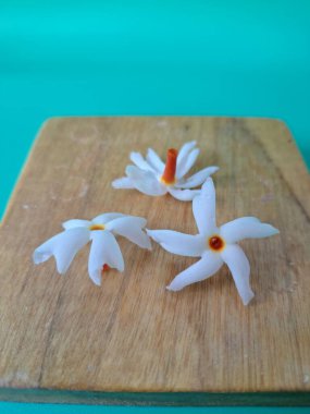 Servis tahtasındaki taze parijat çiçekleri. Çeşitli kullanımları var, hem tıbbi hem de kültürel. Ayurvedic tıpta ateş, öksürük ve soğuk algınlığını tedavi etmek için kullanılır. Çiçekler Hindu ayinlerinde ve tanrılara adak olarak da kullanılır.