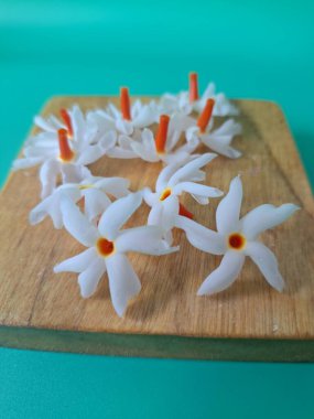 Servis tahtasındaki taze parijat çiçekleri. Çeşitli kullanımları var, hem tıbbi hem de kültürel. Ayurvedic tıpta ateş, öksürük ve soğuk algınlığını tedavi etmek için kullanılır. Çiçekler Hindu ayinlerinde ve tanrılara adak olarak da kullanılır.