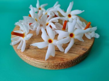 Servis tahtasındaki taze parijat çiçekleri. Çeşitli kullanımları var, hem tıbbi hem de kültürel. Ayurvedic tıpta ateş, öksürük ve soğuk algınlığını tedavi etmek için kullanılır. Çiçekler Hindu ayinlerinde ve tanrılara adak olarak da kullanılır.