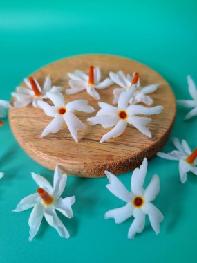 Servis tahtasındaki taze parijat çiçekleri. Çeşitli kullanımları var, hem tıbbi hem de kültürel. Ayurvedic tıpta ateş, öksürük ve soğuk algınlığını tedavi etmek için kullanılır. Çiçekler Hindu ayinlerinde ve tanrılara adak olarak da kullanılır.