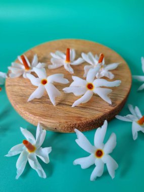 Servis tahtasındaki taze parijat çiçekleri. Çeşitli kullanımları var, hem tıbbi hem de kültürel. Ayurvedic tıpta ateş, öksürük ve soğuk algınlığını tedavi etmek için kullanılır. Çiçekler Hindu ayinlerinde ve tanrılara adak olarak da kullanılır.