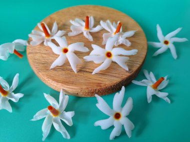 Servis tahtasındaki taze parijat çiçekleri. Çeşitli kullanımları var, hem tıbbi hem de kültürel. Ayurvedic tıpta ateş, öksürük ve soğuk algınlığını tedavi etmek için kullanılır. Çiçekler Hindu ayinlerinde ve tanrılara adak olarak da kullanılır.