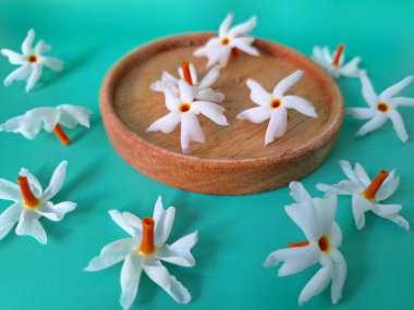 Servis tahtasındaki taze parijat çiçekleri. Çeşitli kullanımları var, hem tıbbi hem de kültürel. Ayurvedic tıpta ateş, öksürük ve soğuk algınlığını tedavi etmek için kullanılır. Çiçekler Hindu ayinlerinde ve tanrılara adak olarak da kullanılır.